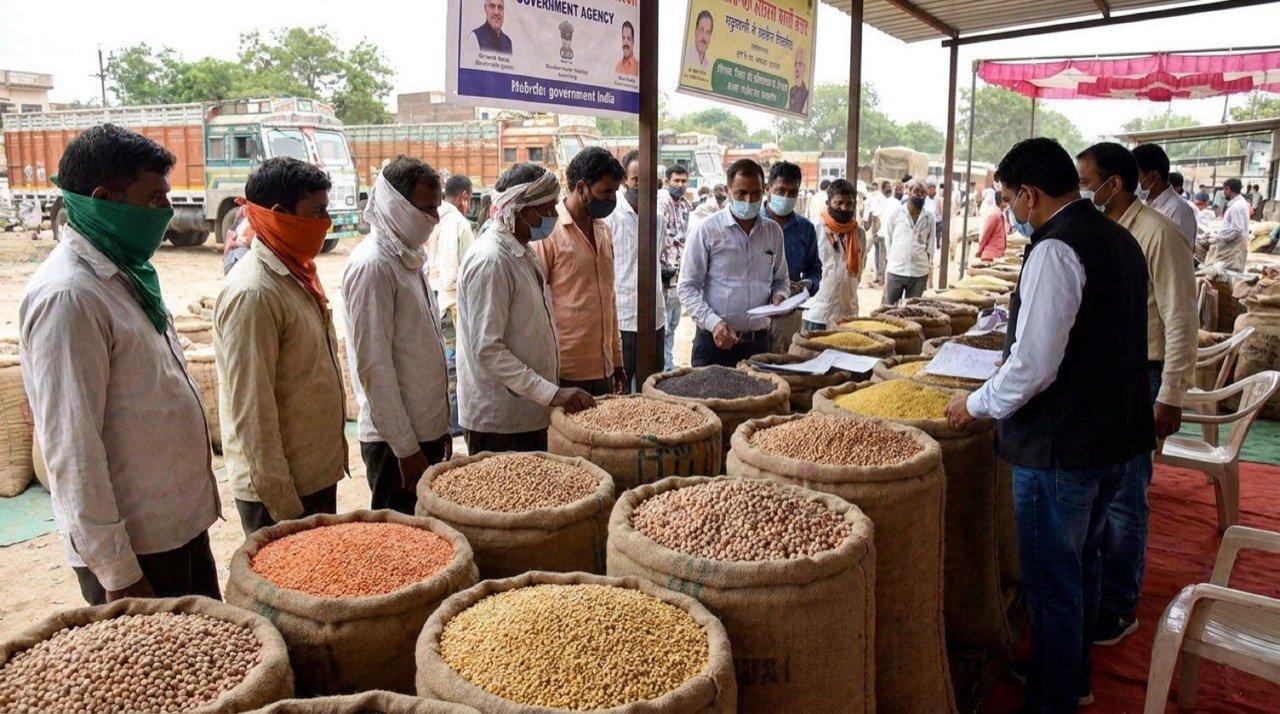 Farmers selling pulses and oilseeds as Nafed and NCCF begin direct procurement under Amit Shah's directive